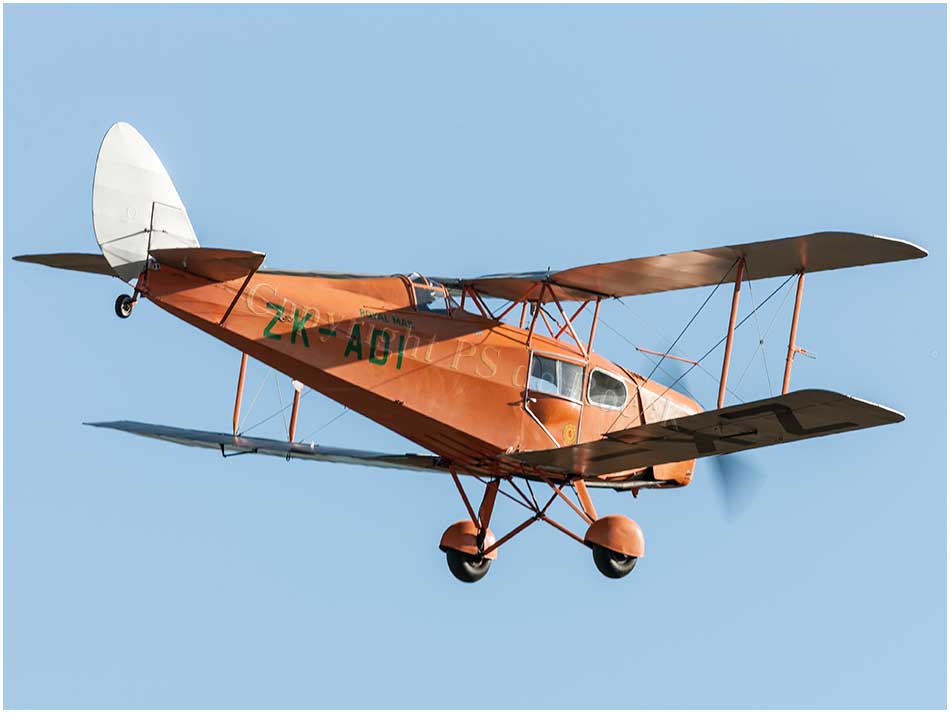 Fox Moth DH83